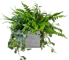 Flowerpot insert Seagul