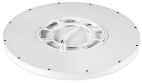 Top Light - LED Stmievateľné stropné svietidlo LED/36W/230V 3000-6500K + DO