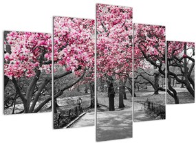 Obraz stromov Magnólie (150x105 cm)