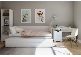 Raj posteli Detská posteľ HOMNES s prístelkou a zásuvkou PW 200x90 cm