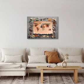Obraz - Korenie sveta (70x50 cm)