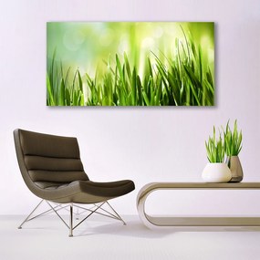 Obraz na akrylátovom skle Tráva príroda 120x60 cm