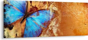 Obraz - Modrý motýľ (120x50 cm)