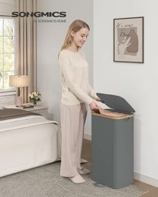 Kôš na bielizeň LCB531GN01