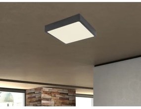 Globo 12369-30 - LED Stropné svietidlo ECHO LED/28W/230V