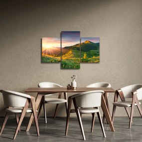 Obraz - Letná krajina (90x60 cm)