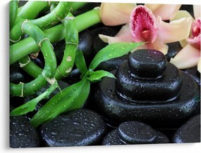Obraz - Kamene a orchidey (70x50 cm)