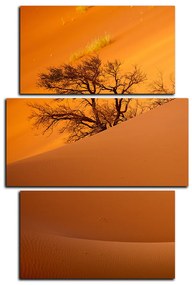 Obraz na plátne - Červené piesočné duny - obdĺžnik 7133C (105x70 cm)