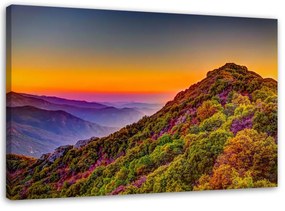 Obraz na plátně Hory Krajina Barevné - 120x80 cm