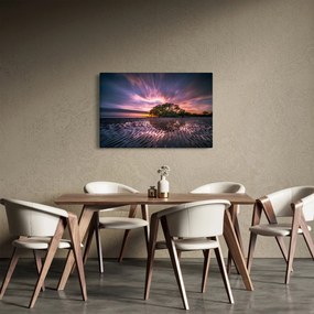 Obraz stromu na pláži (90x60 cm)