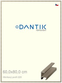DANTIK rám na obraz 60x80 | ALU champagne (Plexi Čiré)