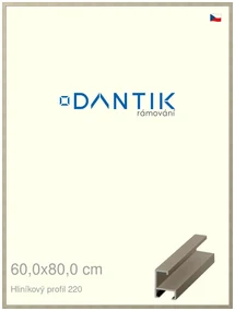 DANTIK rám na obraz 60x80 | ALU champagne (Plexi Čiré)