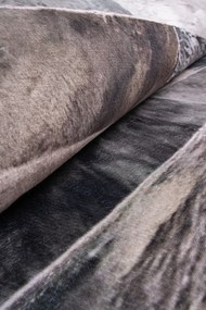Koberec Canes KLXD220302 rozmery koberec: 75x150 cm