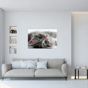 Obraz - Mačka so zelenými očami (90x60 cm)