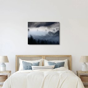 Obraz hmly nad lesom (70x50 cm)
