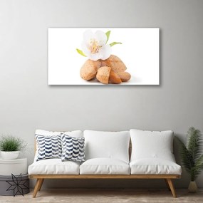 Skleneny obraz Kvet pistácie príroda 100x50 cm