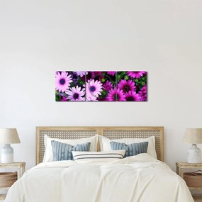 Obraz - Kvety (s hodinami) (90x30 cm)