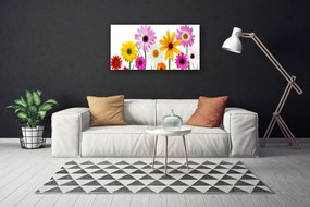 Obraz Canvas Farebné kvety príroda 120x60 cm