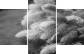 Obraz - bunny tail grass na stole (90x60 cm)