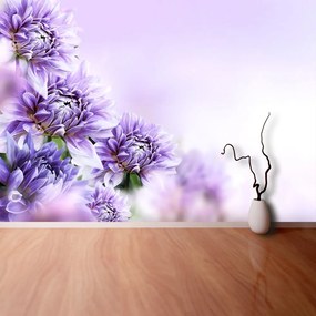 Fototapeta Vliesová Fialové kvety 250x104 cm
