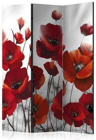 Artgeist Paraván - Poppies in the Moonlight [Room Dividers]