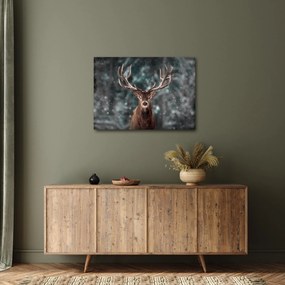 Obraz - Majestátnosť jeleňa (70x50 cm)