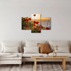 Obraz západu slnka s vlčími makmi (90x60 cm)