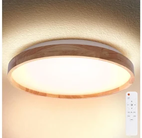 Brilagi - LED Stmievateľné stropné svietidlo ALSON LED/48W/230V 3000-6500K + DO BG0905