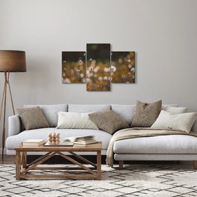 Obraz - Lúka s cottongrass N⁰2 (90x60 cm)