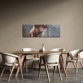 Obraz - Highlander krava (s hodinami) (90x30 cm)