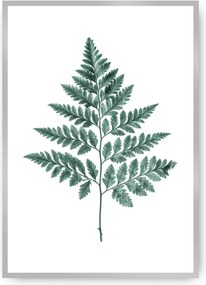 Plagát Fern 21 x 30 cm Emerald Green