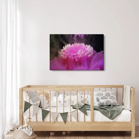 Obraz kvetiny v ružovom dyme (90x60 cm)