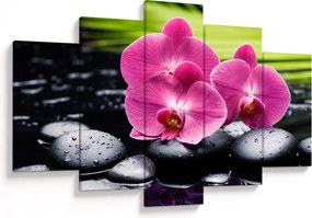 Obraz - Ružové orchidey s palmovým listom (150x105 cm)