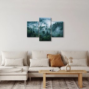 Obraz - Les v hmle (90x60 cm)