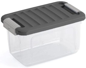 KIS Úložný box W BOX XS, sivý