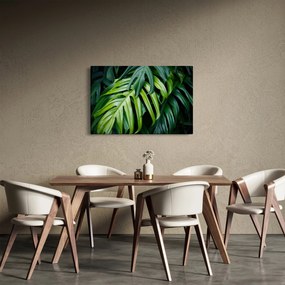Obraz - Tropické listy (90x60 cm)