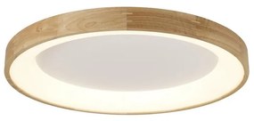 Azzardo AZ2698 - LED Stropné svietidlo SILVAM 1xLED/50W/230V AZ2698