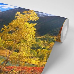 Samolepiaca fototapeta nádherná príroda na Kamčatke - 450x300