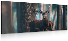 Obraz jeleň v lese - 120x60