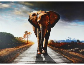 Obraz tlačený na plátne 50x70 PRC486