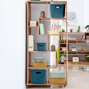 Sivý plastový úložný box s vekom 35,5x25,5x23 cm – Homéa