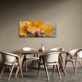 Obraz - Jesenné žalude (120x50 cm)