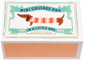 Plyšová hračka Mini Sausage Dog in a Little Box – Rex London