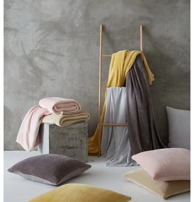 Tmavosivá deka z mikroplyšu 130x170 cm Raschel Velvet – Catherine Lansfield