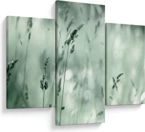 Obraz - Zelená lúka (90x60 cm)