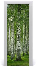 Fototapeta na dvere Břízová les 75x205 cm