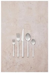 Livarno home Príborová súprava z nehrdzavejúcej ocele, 60-dielna (matný)  (100382753)