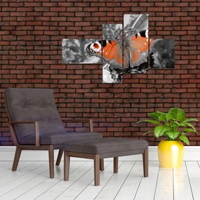 Oranžový motýľ - obraz