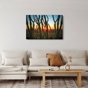 Obraz - Rastliny (90x60 cm)