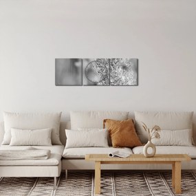 Obraz - Boho pampas grass (s hodinami) (90x30 cm)